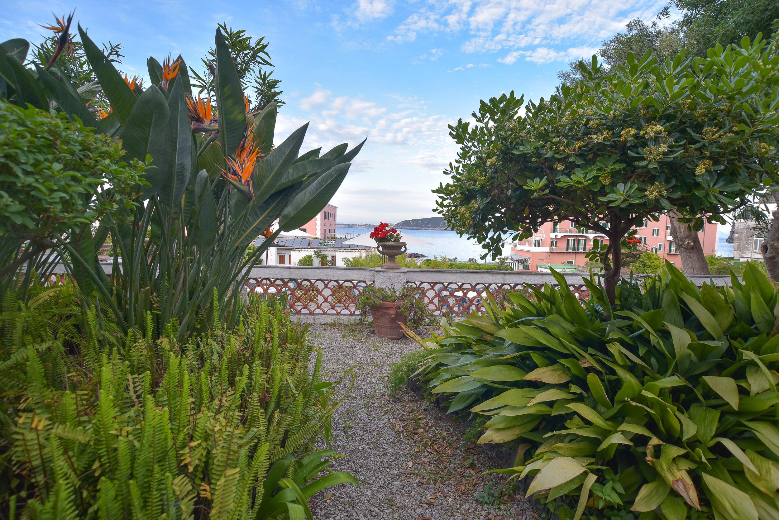 Villa Panoramica - Ischia Ponte エクステリア 写真