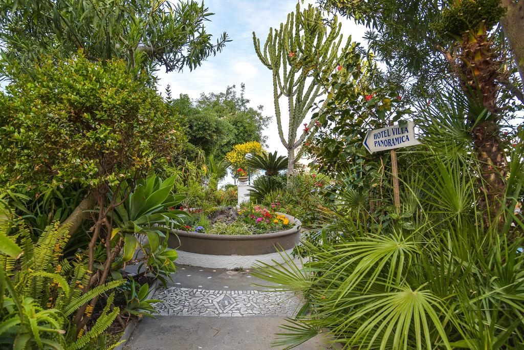 Villa Panoramica - Ischia Ponte エクステリア 写真