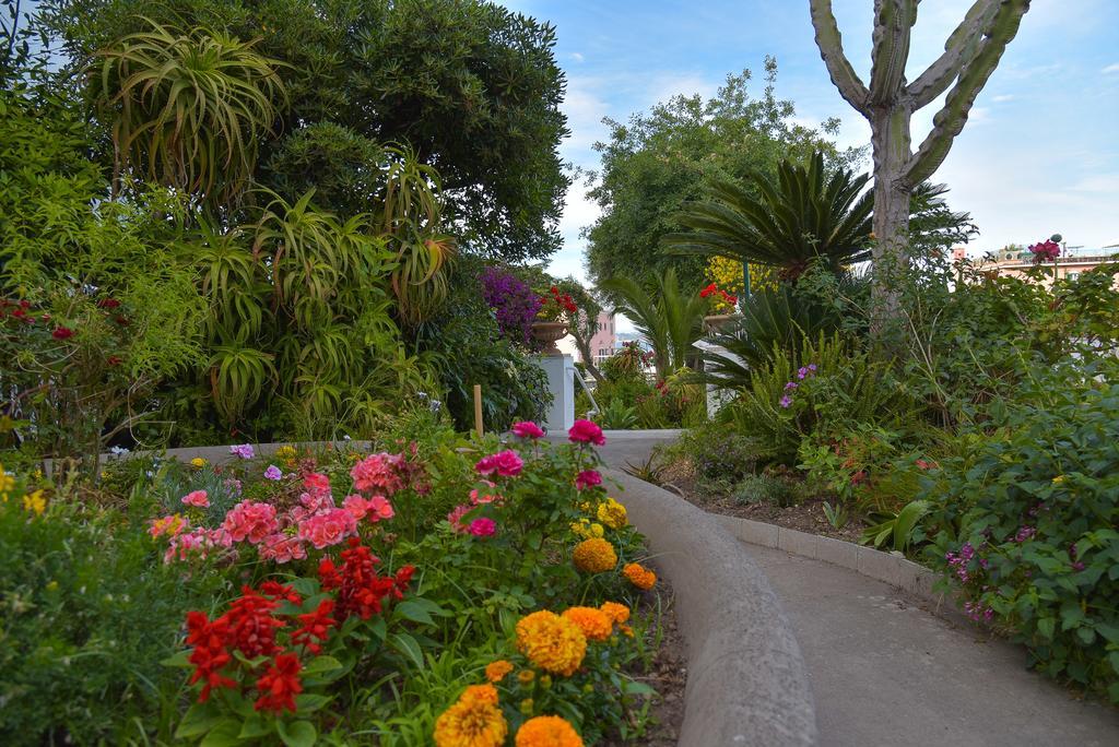 Villa Panoramica - Ischia Ponte エクステリア 写真