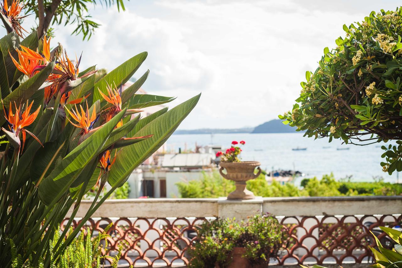Villa Panoramica - Ischia Ponte エクステリア 写真