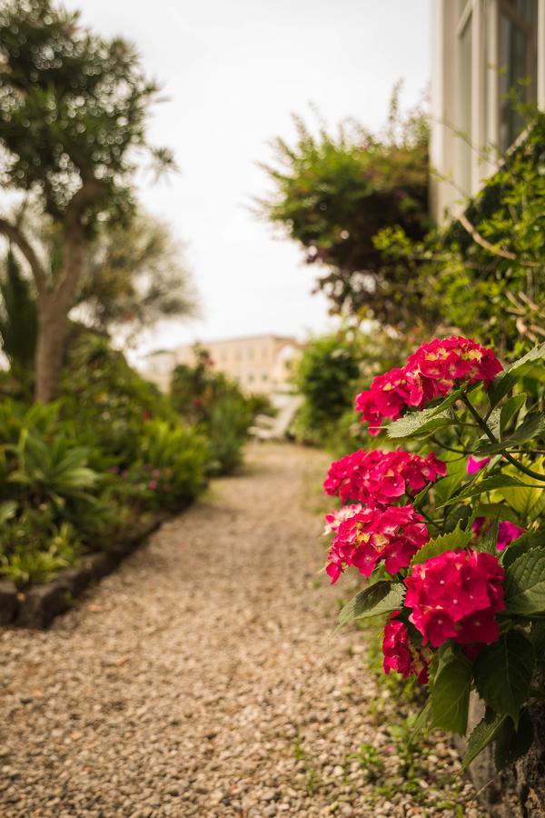 Villa Panoramica - Ischia Ponte エクステリア 写真